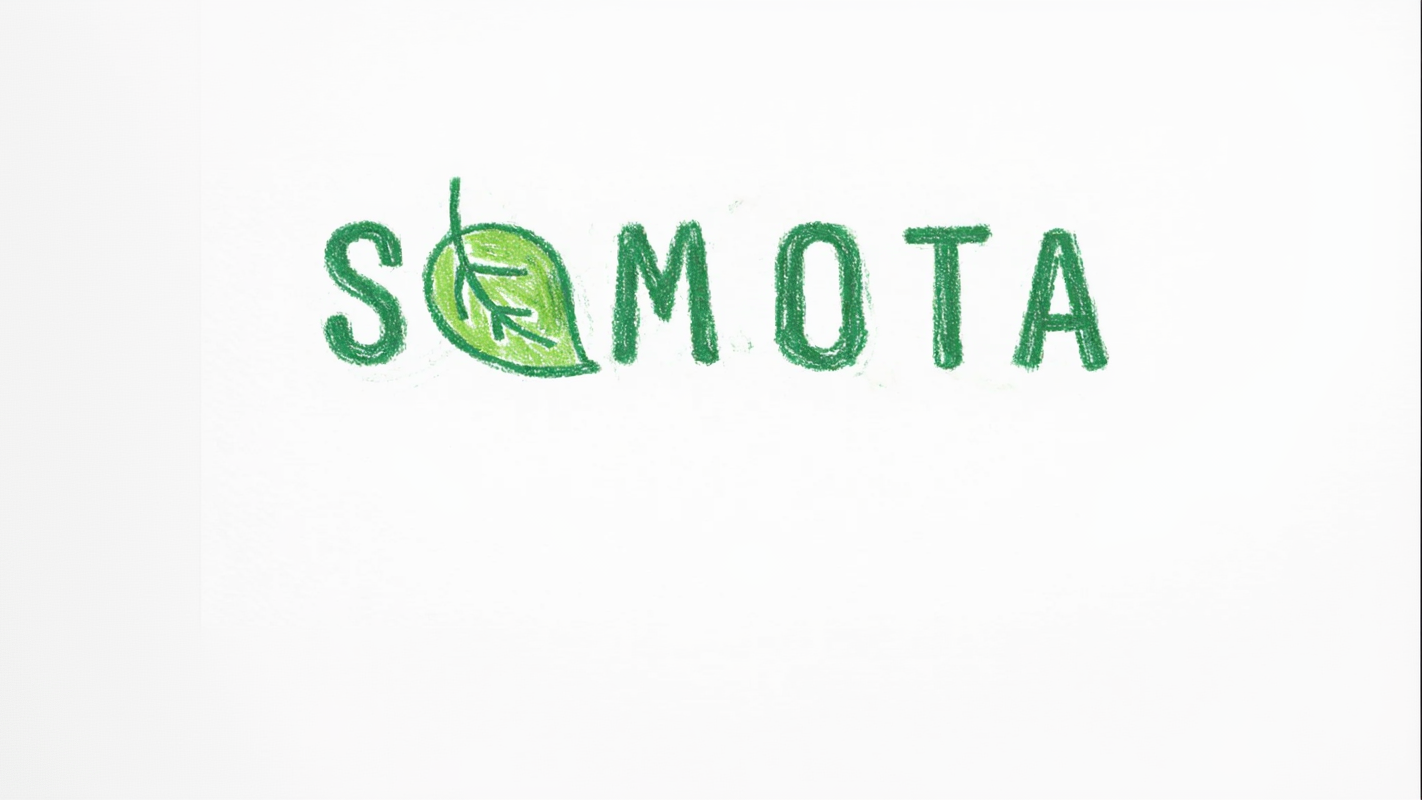Green logo with 'SYMOTA' text on a white background